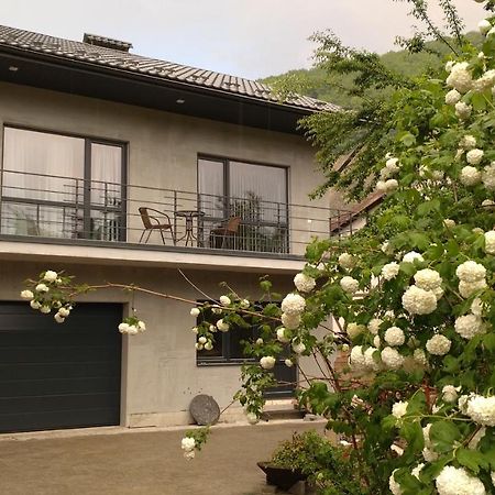 Guesthouse U Dida Viktora Jaremtsche Exterior foto