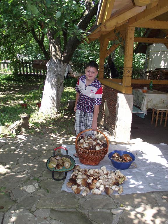 Guesthouse U Dida Viktora Jaremtsche Exterior foto