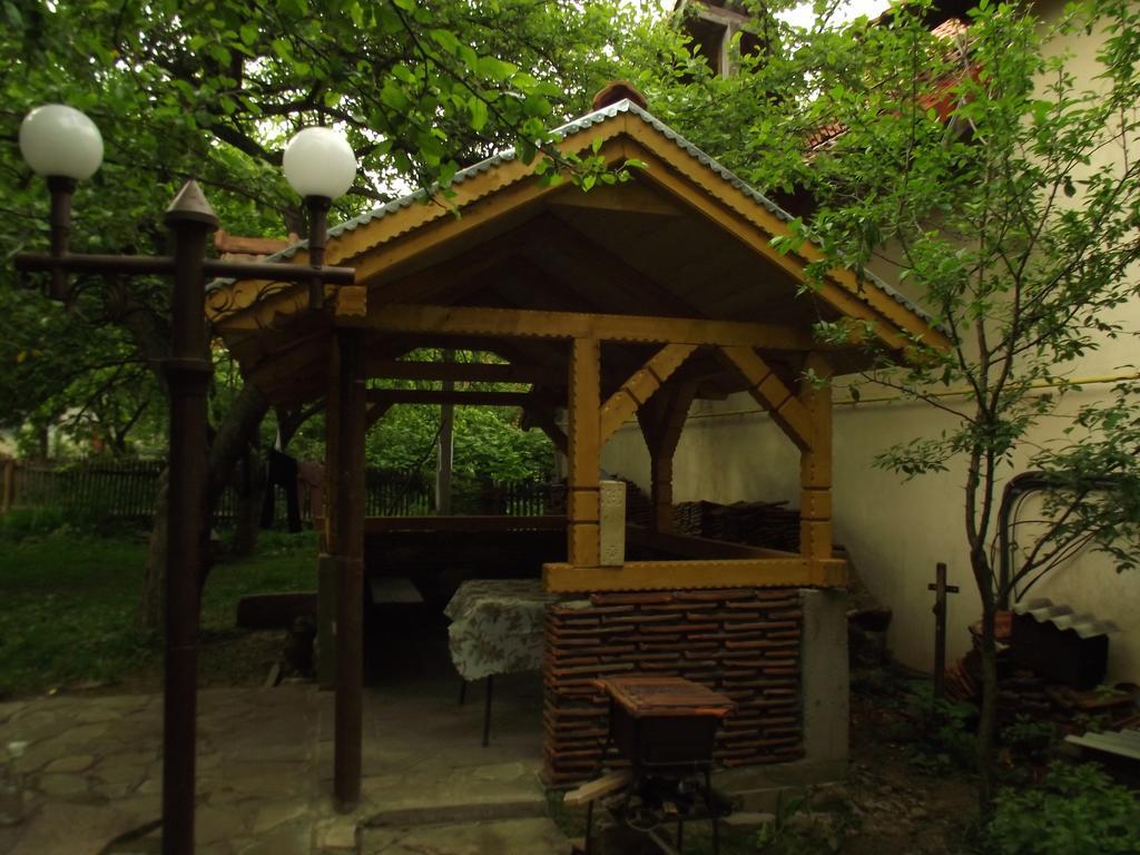 Guesthouse U Dida Viktora Jaremtsche Exterior foto