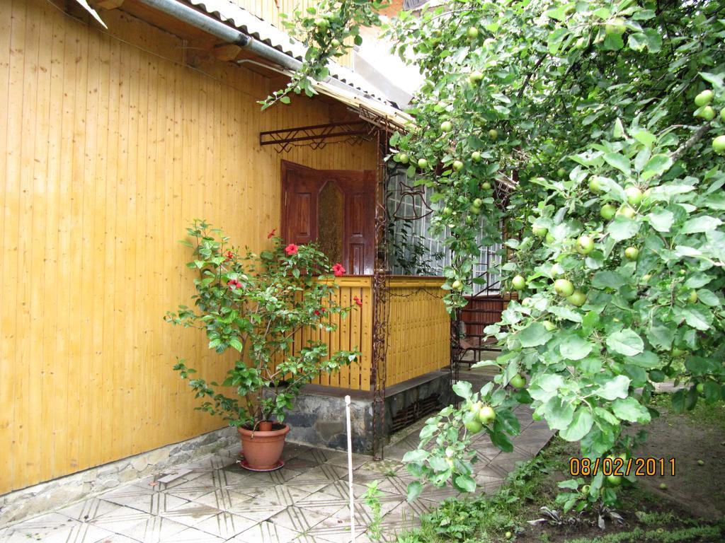Guesthouse U Dida Viktora Jaremtsche Exterior foto