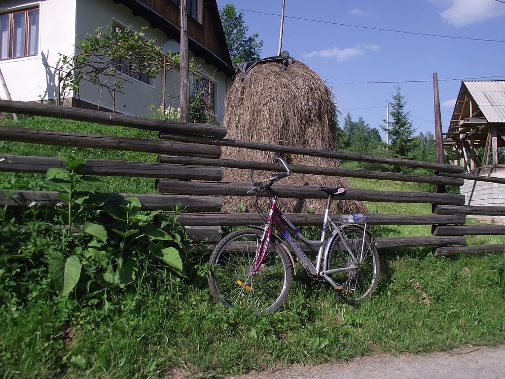Guesthouse U Dida Viktora Jaremtsche Exterior foto